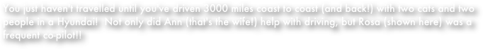 You just haven't travelled until you've driven 3000 miles coast to coast (and back!) with two cats and two people in a Hyundai!  Not only did Ann (that's the wife!) help with driving, but Rosa (shown here) was a frequent co-pilot!! 